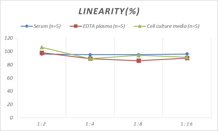 Rat CD28 ELISA Kit (Colorimetric)