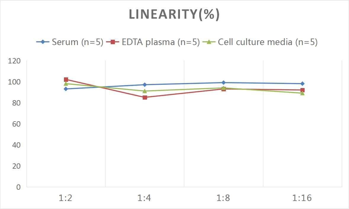 Rat CD3 ELISA Kit (Colorimetric)