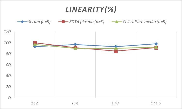 Human CD3 epsilon ELISA Kit (Colorimetric)