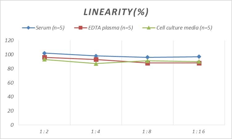 Human CD3 gamma ELISA Kit (Colorimetric)