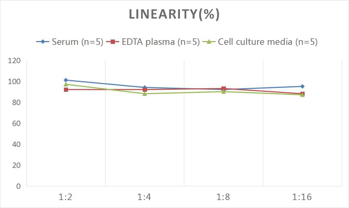 Human CD74 ELISA Kit (Colorimetric)