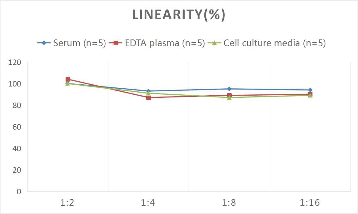 Rat CD8 ELISA Kit (Colorimetric)