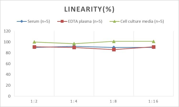 Rabbit CD8 ELISA Kit (Colorimetric)