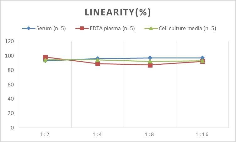 Mouse CD97 ELISA Kit (Colorimetric)