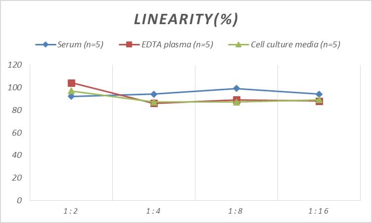 Human CD99 ELISA Kit (Colorimetric)