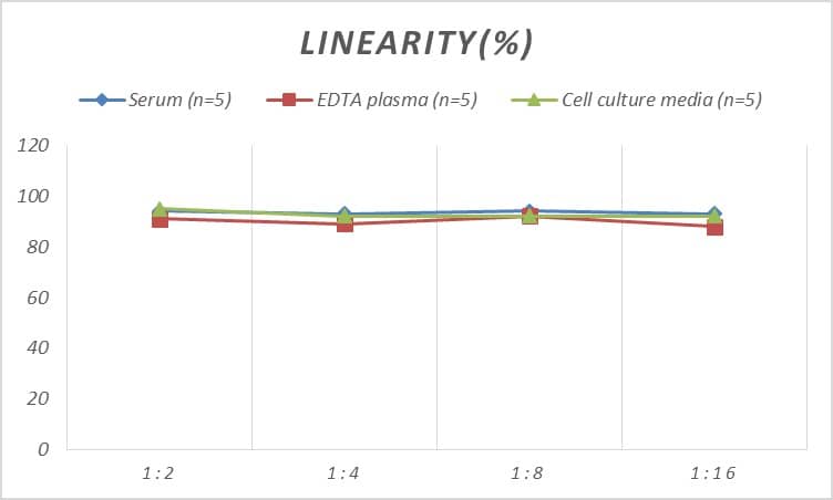 Human CDK2 ELISA Kit (Colorimetric)