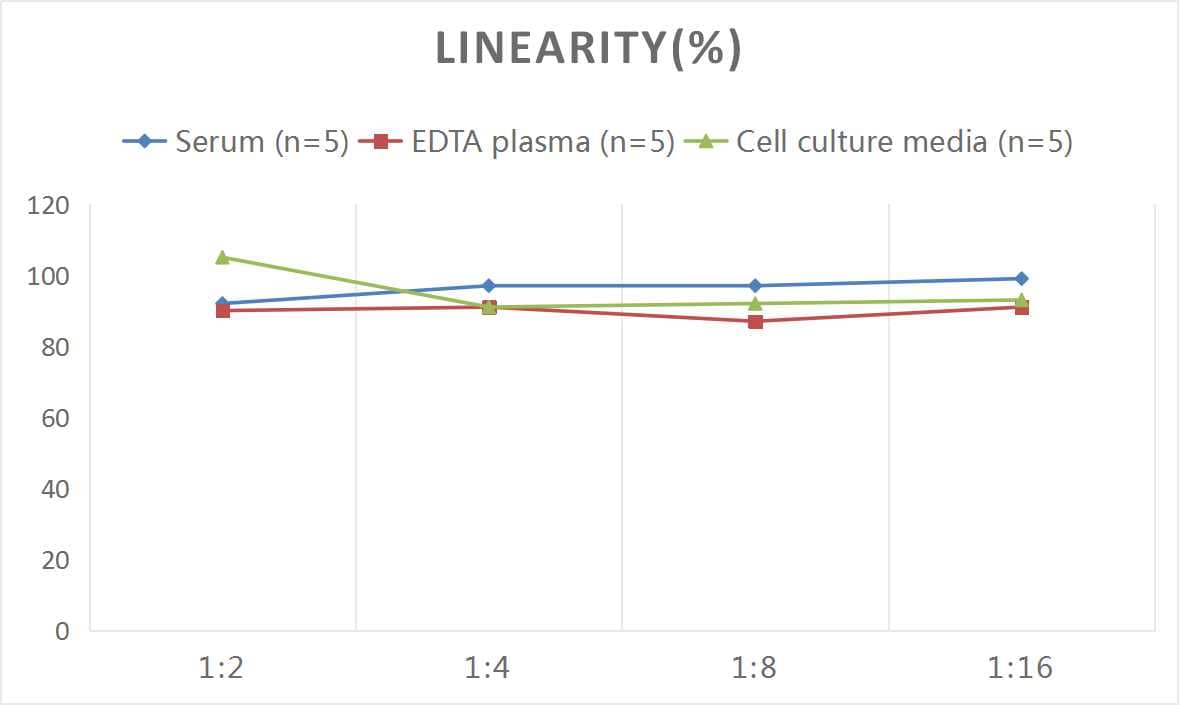 Human CDK4 ELISA Kit (Colorimetric)