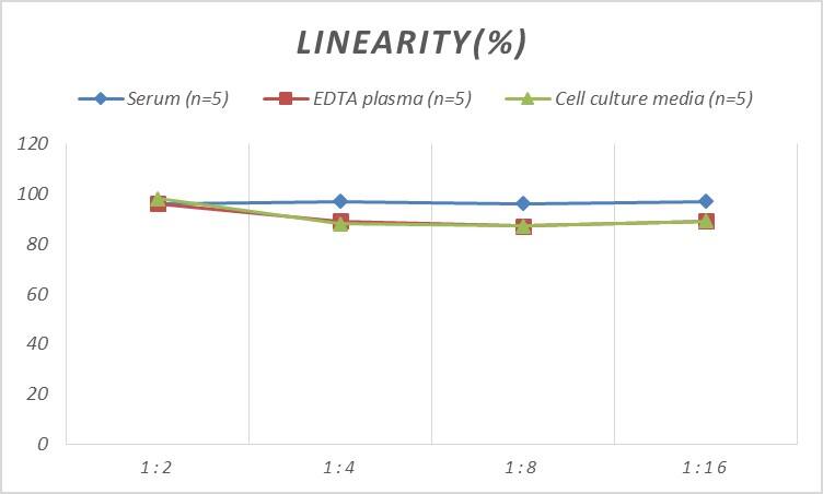 Rat CDK4 ELISA Kit (Colorimetric)