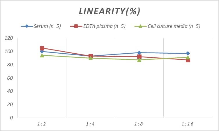 Human Cdk5 ELISA Kit (Colorimetric)