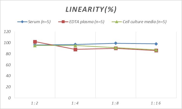 Mouse Cdk5 ELISA Kit (Colorimetric)