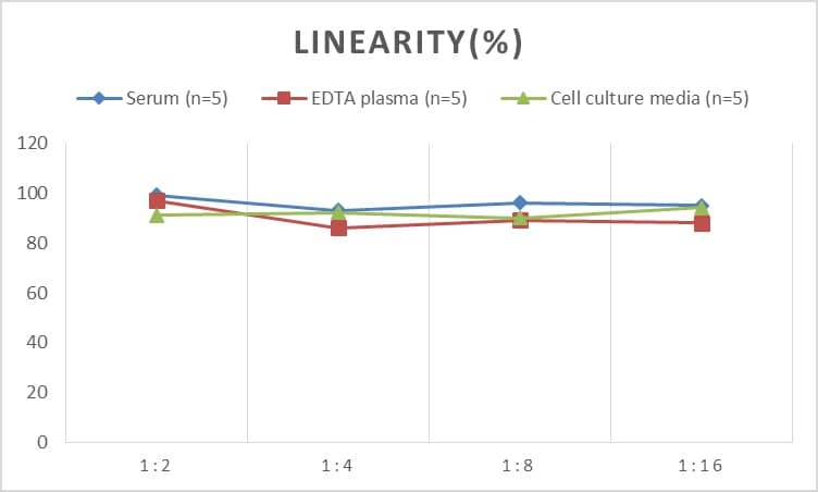 Rat Cdk5 ELISA Kit (Colorimetric)