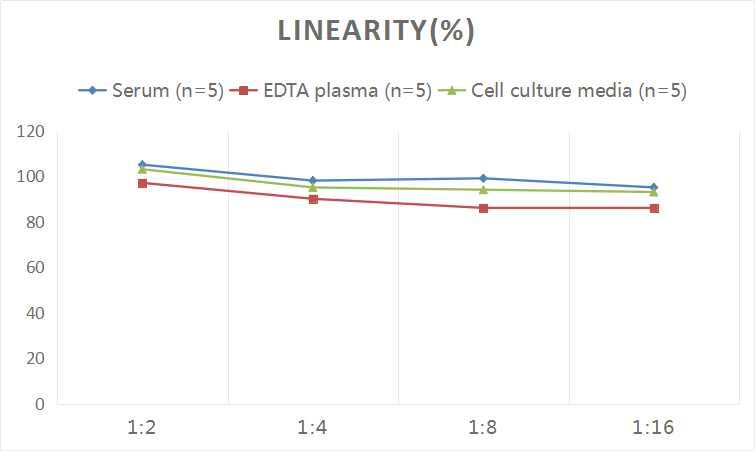 Human Cdk6 ELISA Kit (Colorimetric)