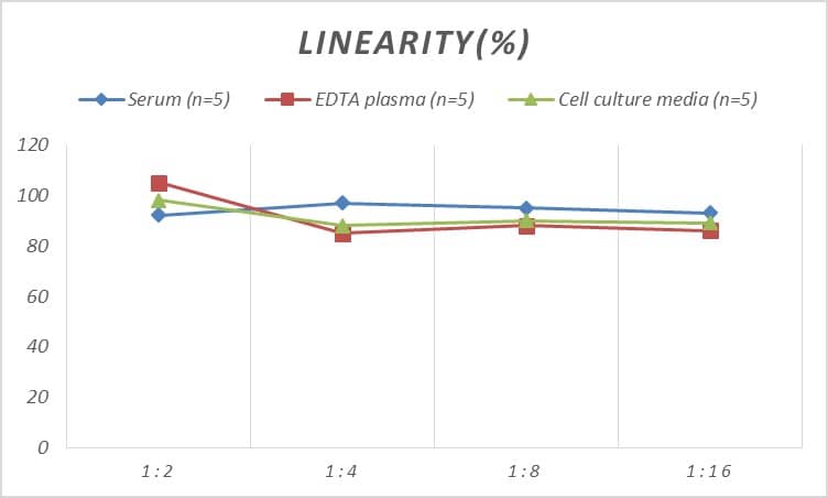 Human CDK8 ELISA Kit (Colorimetric)