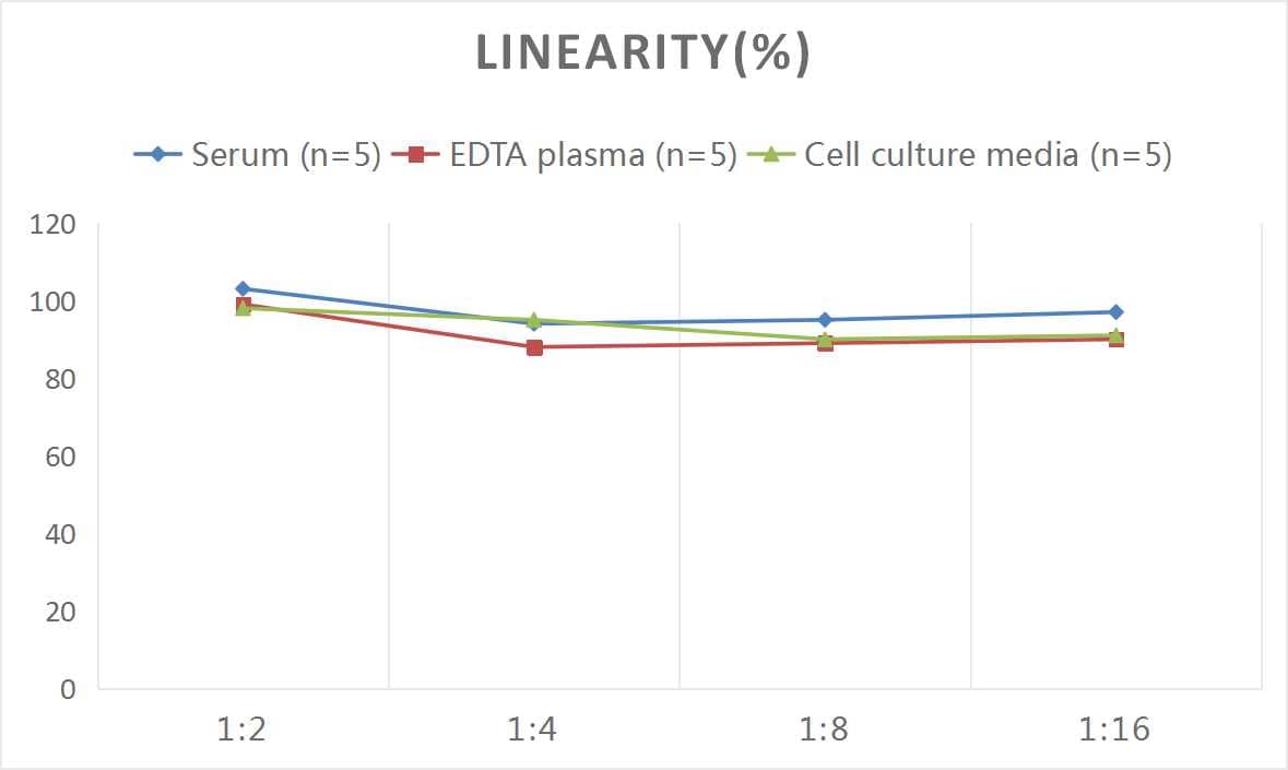 Mouse Uteroglobin/SCGB1A1 ELISA Kit (Colorimetric)