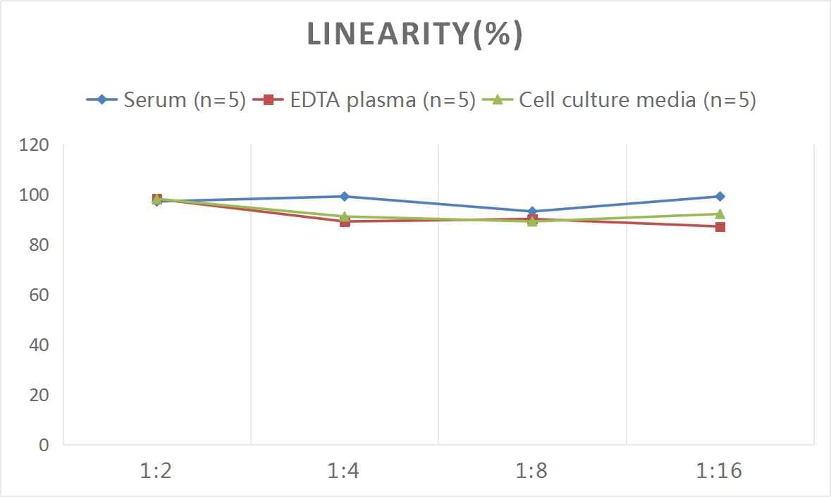 Rat Uteroglobin/SCGB1A1 ELISA Kit (Colorimetric)