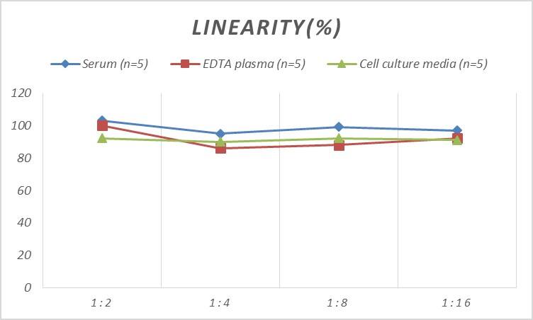 Mouse p21/CIP1/CDKN1A ELISA Kit (Colorimetric)