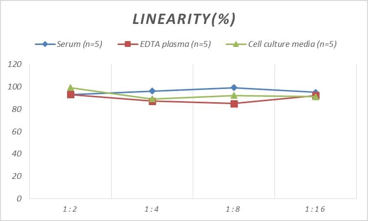 Rat p21/CIP1/CDKN1A ELISA Kit (Colorimetric)