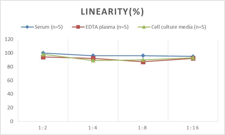 Mouse p27/Kip1 ELISA Kit (Colorimetric)