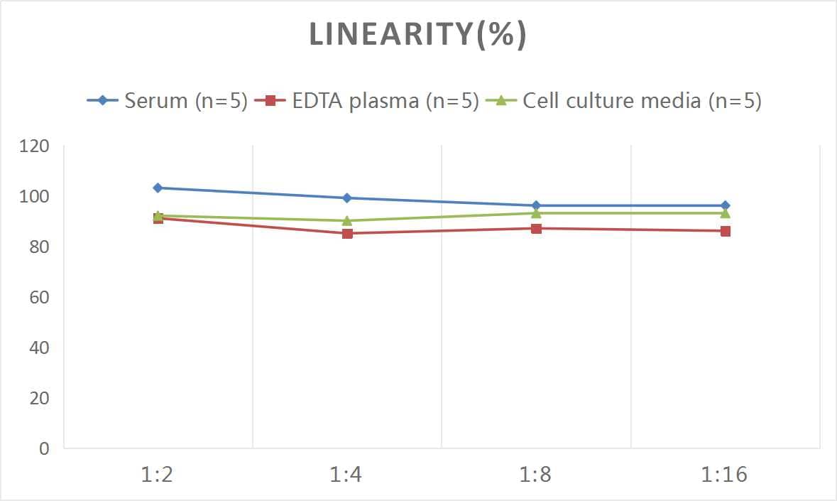 Human p16INK4a/CDKN2A ELISA Kit (Colorimetric)