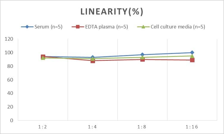 Mouse p16INK4a/CDKN2A ELISA Kit (Colorimetric)