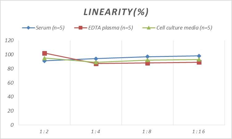 Human CDKN3 ELISA Kit (Colorimetric)