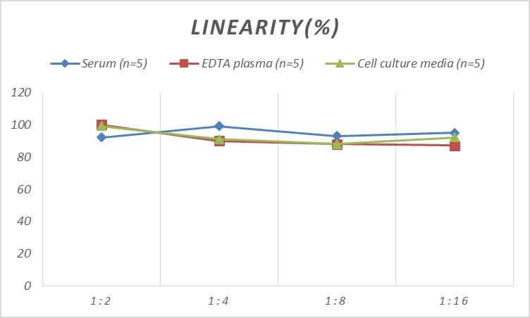 Mouse CDX2 ELISA Kit (Colorimetric)