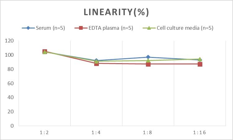 Rat CDX2 ELISA Kit (Colorimetric)