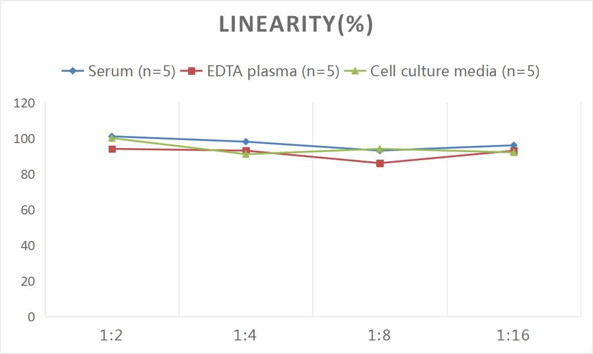 Mouse CEACAM5/CD66e ELISA Kit (Colorimetric)