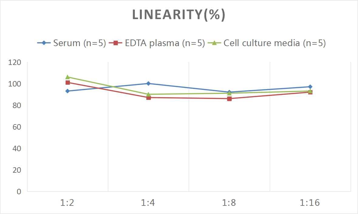 Rat CEACAM5/CD66e ELISA Kit (Colorimetric)