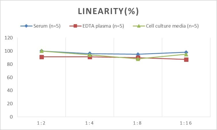 Mouse CEBP Delta ELISA Kit (Colorimetric)