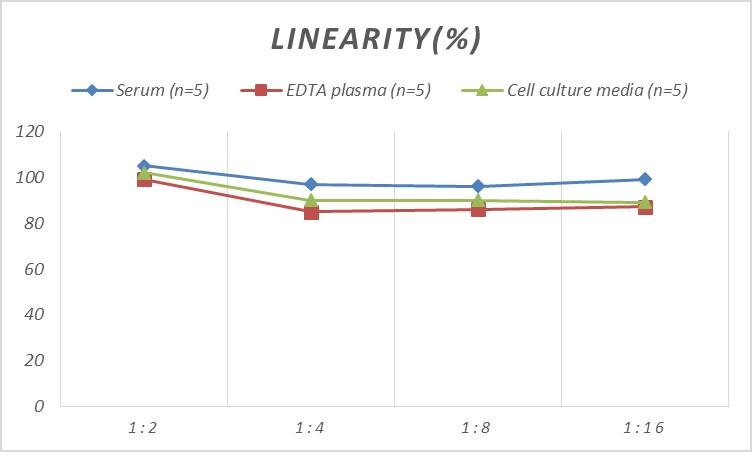 Human CEBP gamma ELISA Kit (Colorimetric)