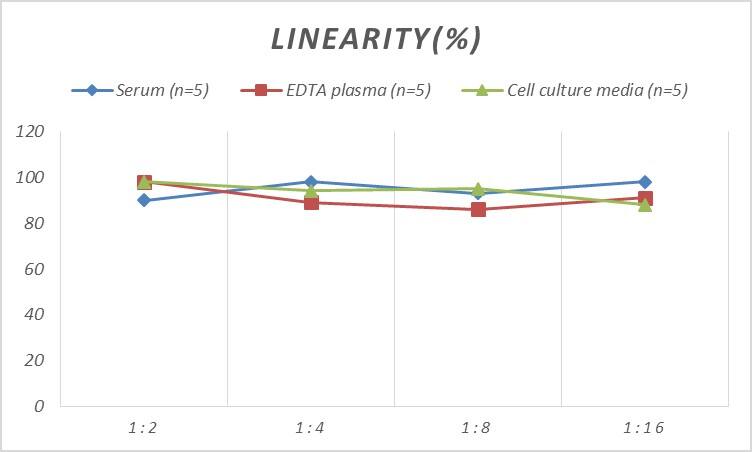 Rat CENPI ELISA Kit (Colorimetric)