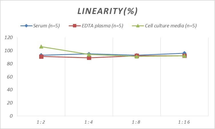 Human CENPA ELISA Kit (Colorimetric)