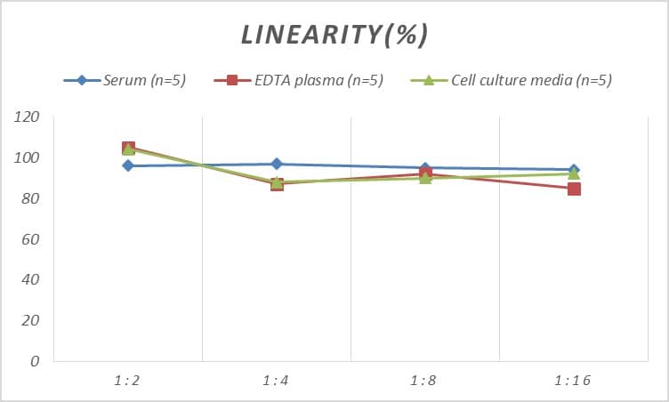 Rat CENPA ELISA Kit (Colorimetric)