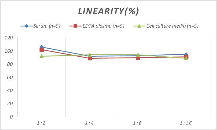 Mouse CENPB ELISA Kit (Colorimetric)