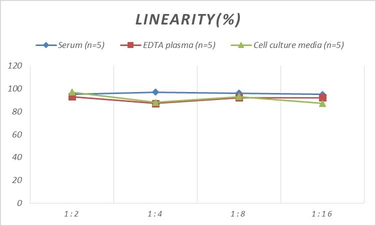 Rat CENPB ELISA Kit (Colorimetric)