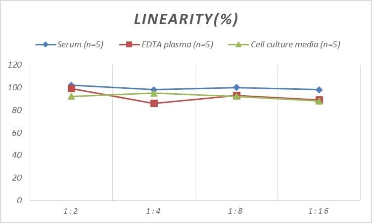 Mouse CENPE ELISA Kit (Colorimetric)