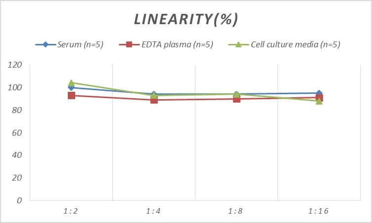 Rat CENPE ELISA Kit (Colorimetric)