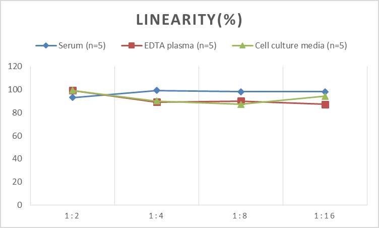 Human CENPF ELISA Kit (Colorimetric)