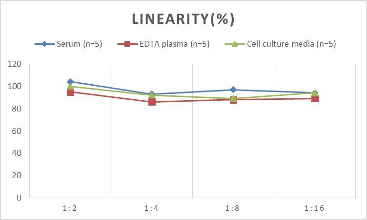 Human CENPH ELISA Kit (Colorimetric)