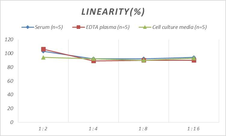 Mouse CENPH ELISA Kit (Colorimetric)