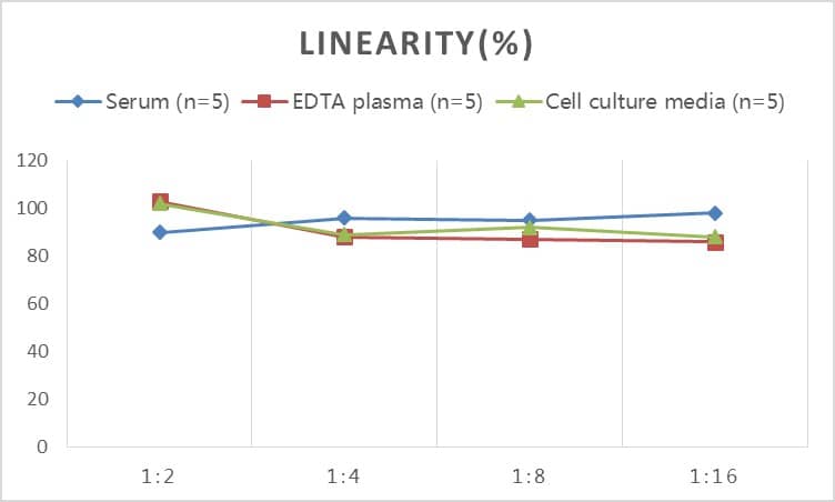 Human CETP ELISA Kit (Colorimetric)