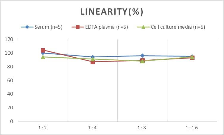 Rat CETP ELISA Kit (Colorimetric)