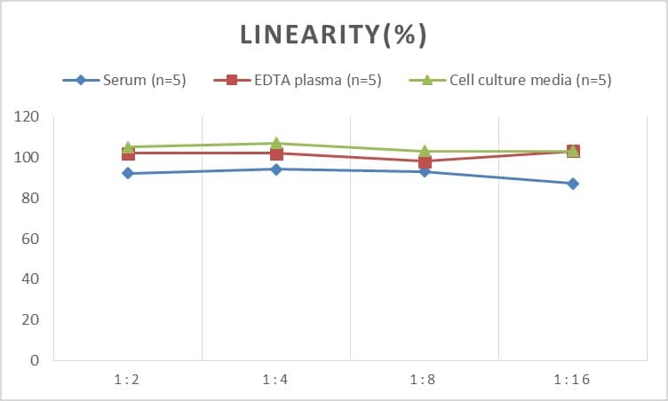 Rabbit CETP ELISA Kit (Colorimetric)