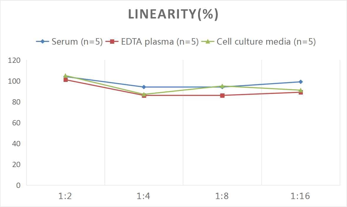 Mouse Complement Factor B ELISA Kit (Colorimetric)