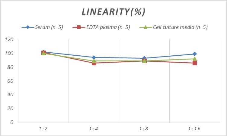 Rat Complement Factor B ELISA Kit (Colorimetric)