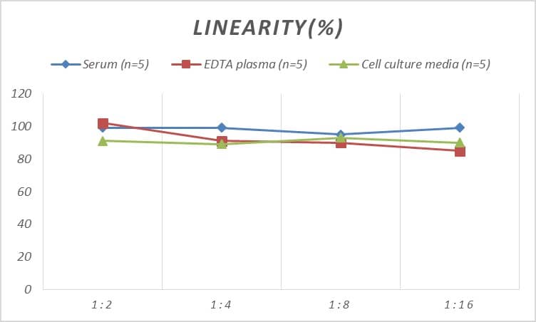 Rat Complement Factor D/Adipsin ELISA Kit (Colorimetric)