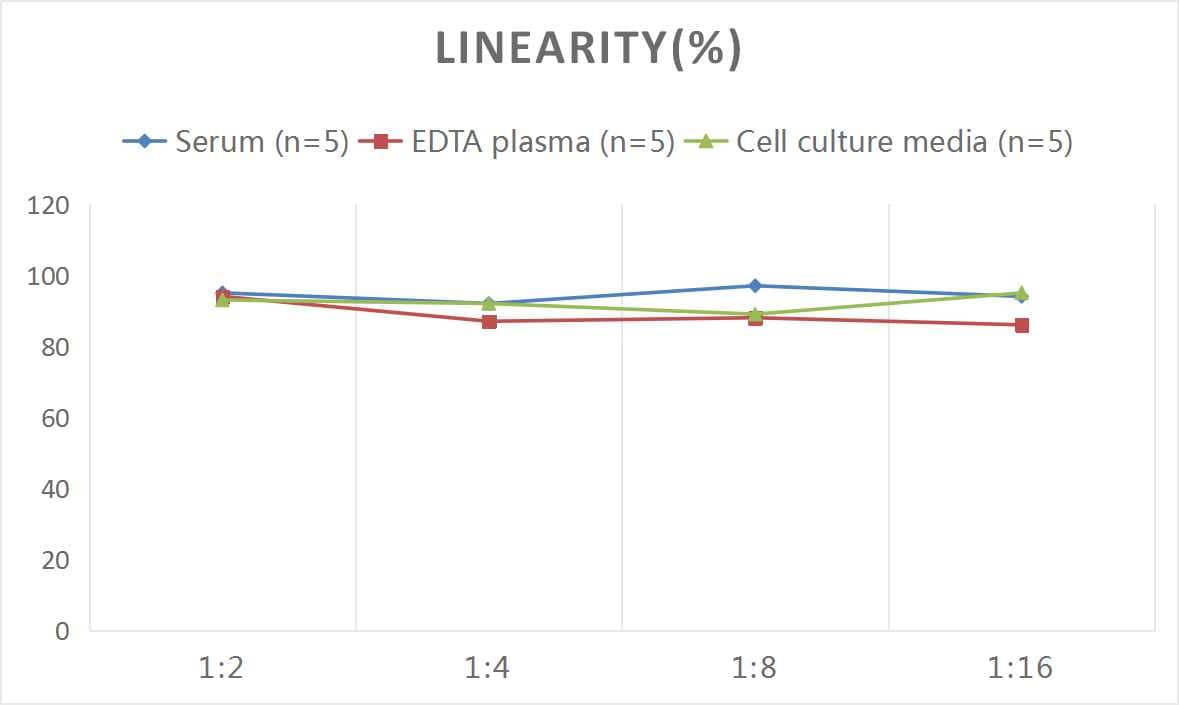 Human Complement Factor H-related 1/CFHR1/CFHL1 ELISA Kit (Colorimetric)