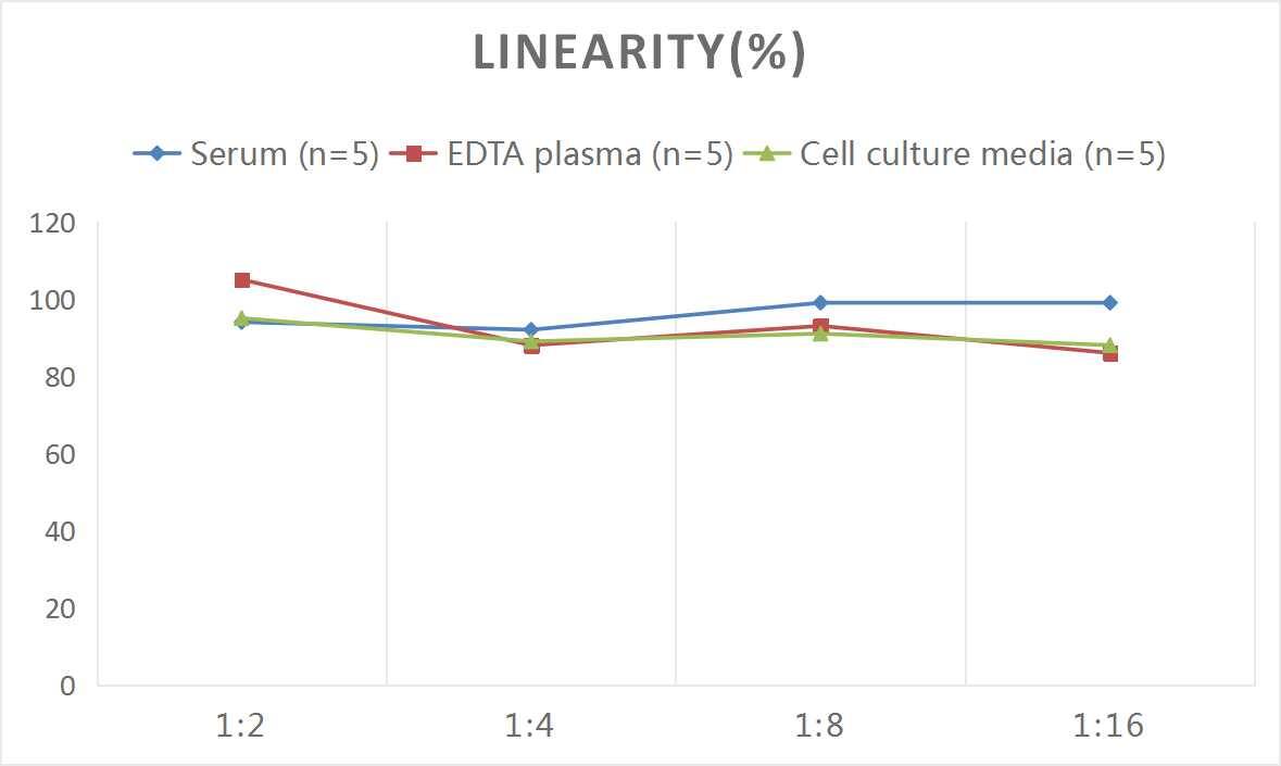 Human Complement Factor H-related 2/CFHR2/CFHL2 ELISA Kit (Colorimetric)