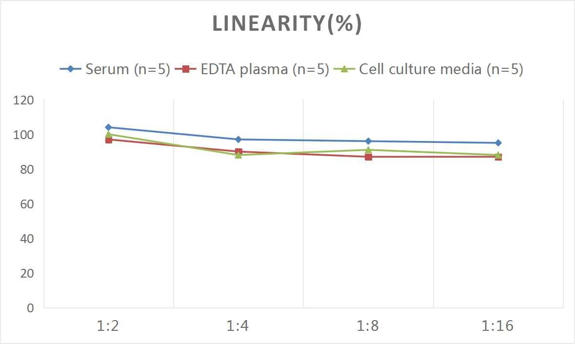 Human Complement Factor H-related 3/CFHR3 ELISA Kit (Colorimetric)